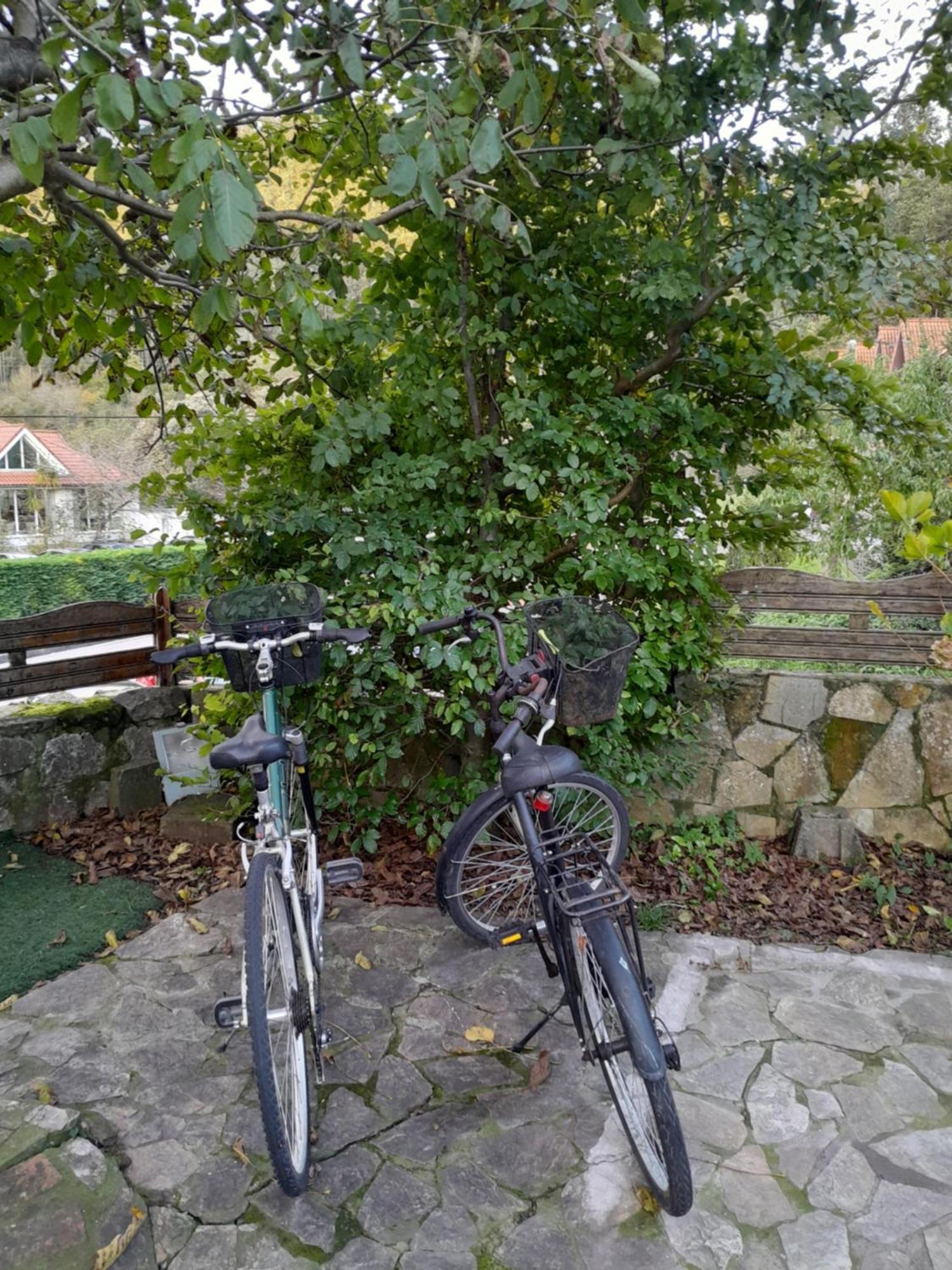 Posada Rincon Del Pas Puente Viesgo Dış mekan fotoğraf